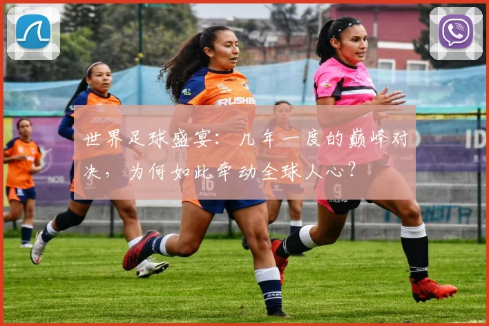 世界足球盛宴：几年一度的巅峰对决，为何如此牵动全球人心？