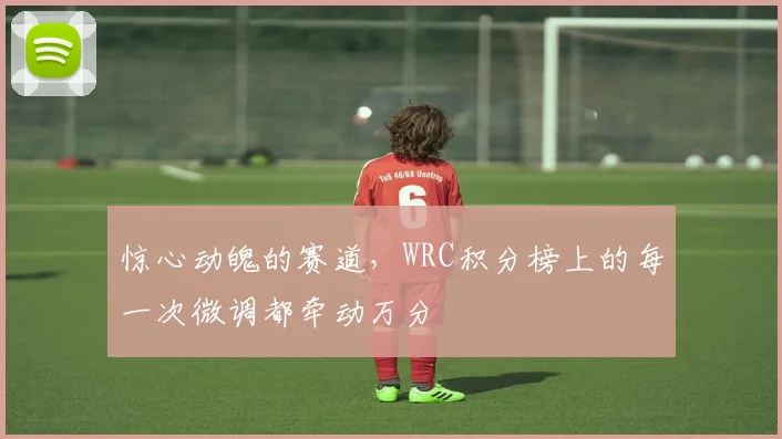 惊心动魄的赛道，WRC积分榜上的每一次微调都牵动万分