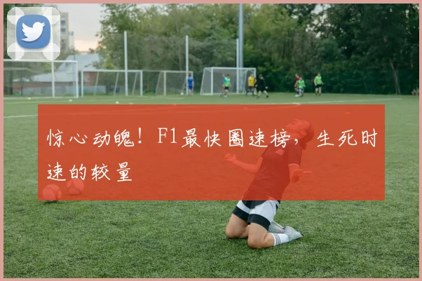 惊心动魄！F1最快圈速榜，生死时速的较量